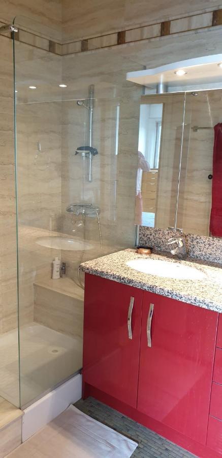 Appartement Lumineux De 90 M2 Situe En Centre Ville Анси Экстерьер фото