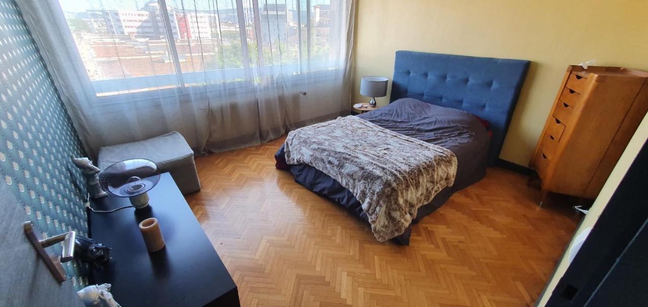 Appartement Lumineux De 90 M2 Situe En Centre Ville Анси Экстерьер фото